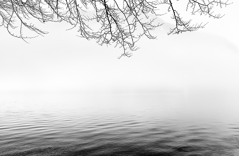 Königssee im Nebel No. 2